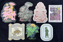 Load image into Gallery viewer, Asheville Stickers