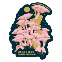 Load image into Gallery viewer, Asheville Stickers