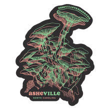 Load image into Gallery viewer, Asheville Stickers
