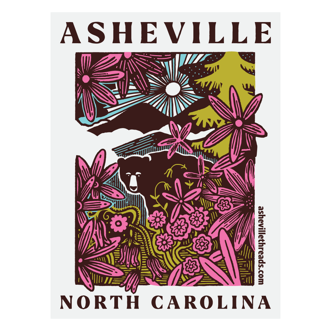 Asheville Magnets